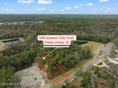 Beach Lot For Sale in Ponte Vedra, Florida