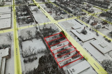 Beach Lot For Sale in Detroit, Michigan