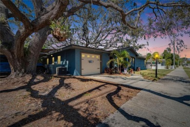 Beach Home For Sale in Safety Harbor, Florida