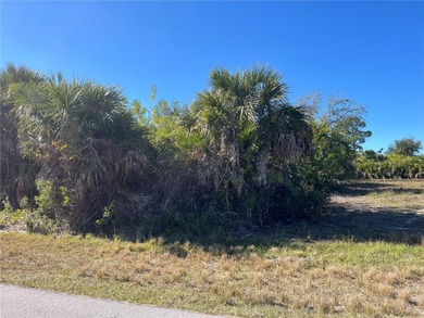Beach Lot For Sale in Port Charlotte, Florida