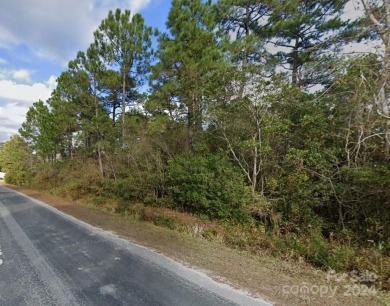 Beach Lot For Sale in Newport, North Carolina