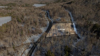 Beach Lot For Sale in Mont-Tremblant, 