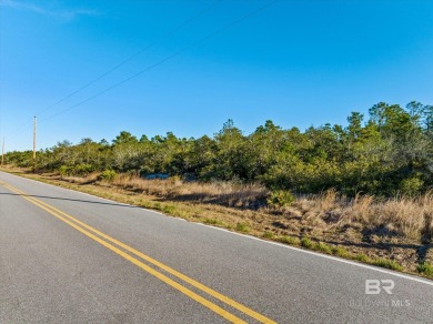 Beach Lot For Sale in Gulf Shores, Alabama