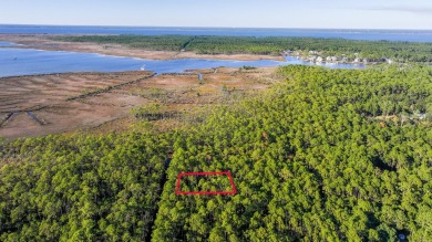 Beach Lot For Sale in Santa Rosa Beach, Florida