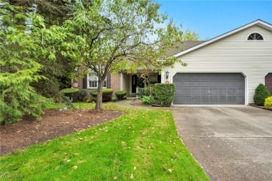 Beach Condo For Sale in Mentor, Ohio