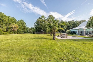 Beach Lot For Sale in Woodbine, Georgia