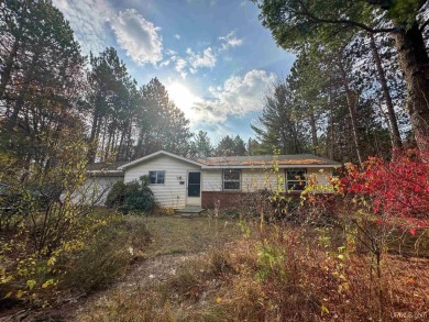 Beach Home For Sale in Marquette, Michigan