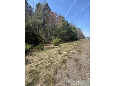 Beach Acreage For Sale in Orland, Maine