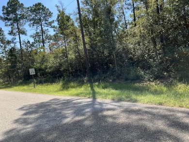 Beach Lot For Sale in Milton, Florida