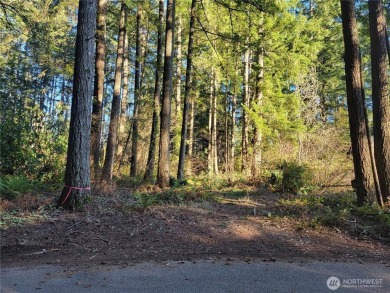 Beach Lot For Sale in Gig Harbor, Washington