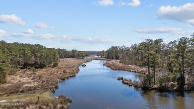 Beach Acreage For Sale in Oriental, North Carolina