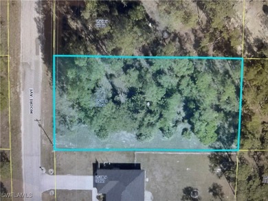 Beach Lot For Sale in Lehigh Acres, Florida