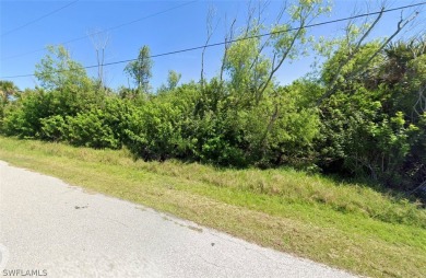 Beach Lot For Sale in Port Charlotte, Florida