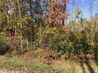 Beach Lot For Sale in Kewadin, Michigan