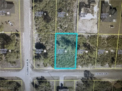 Beach Lot For Sale in Lehigh Acres, Florida