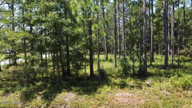 Beach Lot For Sale in Southport, North Carolina