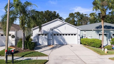 Beach Home For Sale in Land O Lakes, Florida