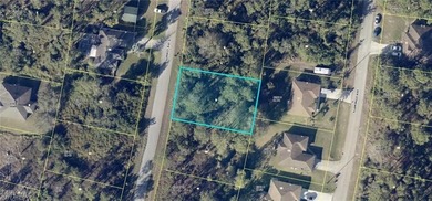 Beach Lot For Sale in Lehigh Acres, Florida