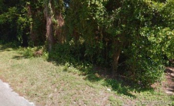 Beach Lot Off Market in Edgewater, Florida