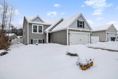 Beach Home For Sale in South Haven, Michigan