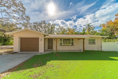 Beach Home For Sale in St. Petersburg, Florida