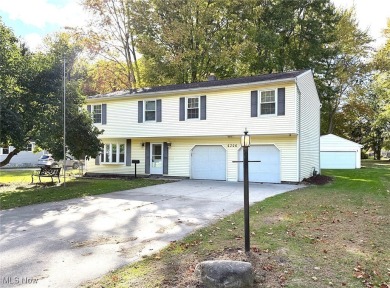 Beach Home For Sale in Mentor, Ohio