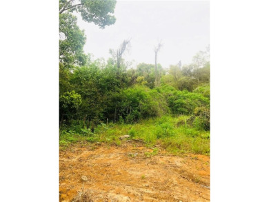 Beach Lot For Sale in Fairhope, Alabama