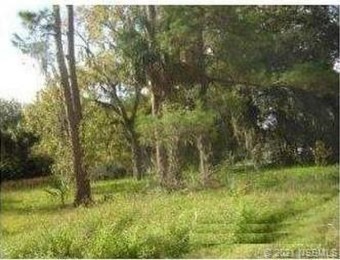 Beach Lot Off Market in New Smyrna Beach, Florida