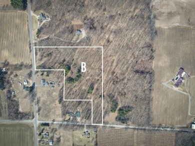 Beach Acreage For Sale in New Era, Michigan