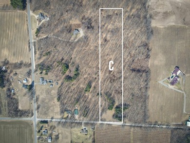 Beach Acreage For Sale in New Era, Michigan