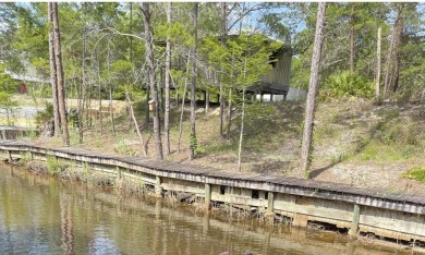 Beach Lot For Sale in Santa Rosa Beach, Florida