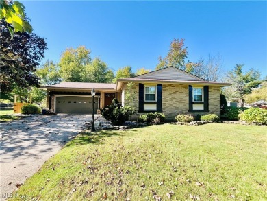 Beach Home For Sale in Conneaut, Ohio