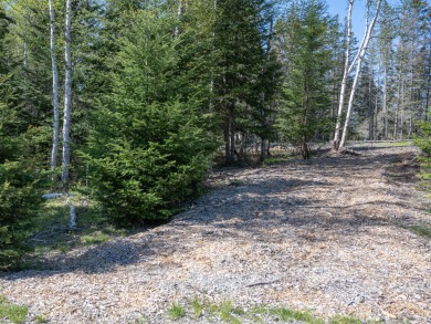 Beach Lot For Sale in Tremont, Maine