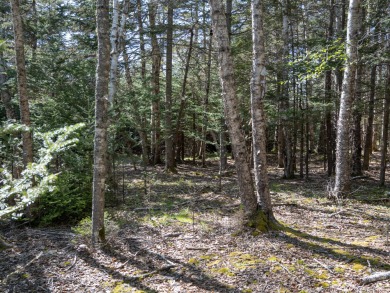 Beach Lot For Sale in Tremont, Maine