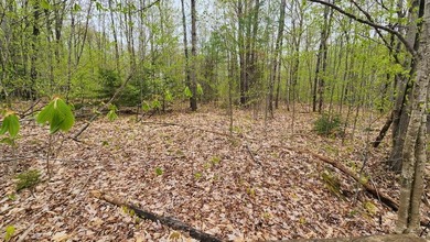Beach Lot For Sale in Wilton, Maine