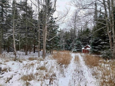 Beach Acreage For Sale in Skanee, Michigan