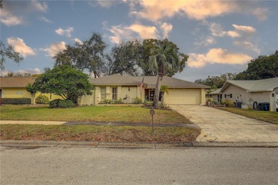 Beach Home For Sale in Palm Harbor, Florida