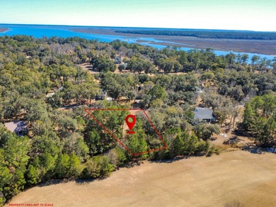 Beach Lot For Sale in Townsend, Georgia