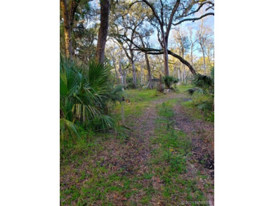 Beach Acreage Off Market in Oak Hill, Florida