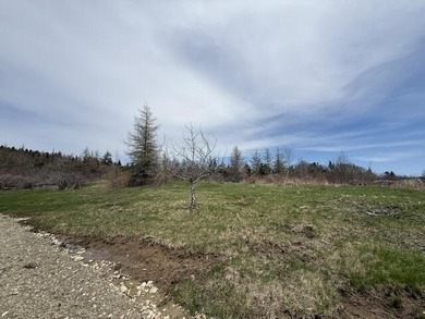 Beach Lot For Sale in Whiting, Maine