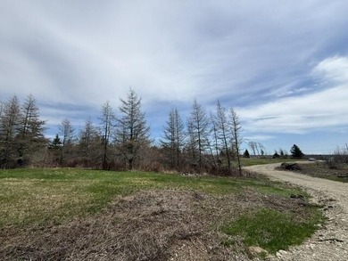 Beach Lot For Sale in Whiting, Maine