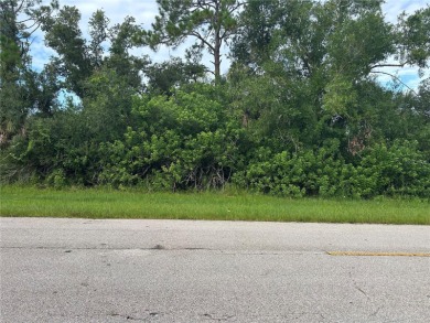 Beach Lot For Sale in Port Charlotte, Florida