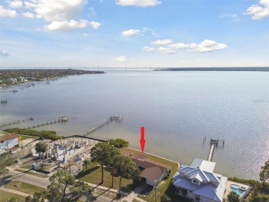 Beach Home For Sale in Oldsmar, Florida