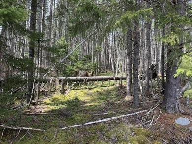 Beach Acreage For Sale in Whiting, Maine