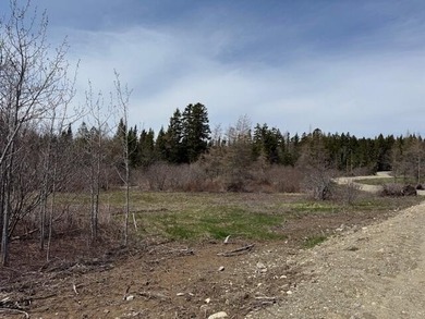 Beach Lot For Sale in Whiting, Maine