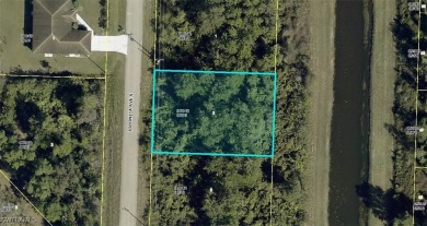 Beach Lot Sale Pending in Lehigh Acres, Florida