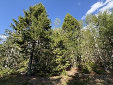Beach Acreage For Sale in Whiting, Maine