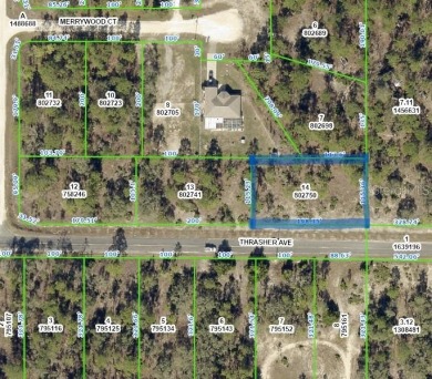 Beach Lot For Sale in Weeki Wachee, Florida