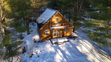 Beach Home For Sale in Free Soil, Michigan