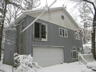 Beach Home For Sale in Pentwater, Michigan